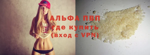 стаф Аркадак
