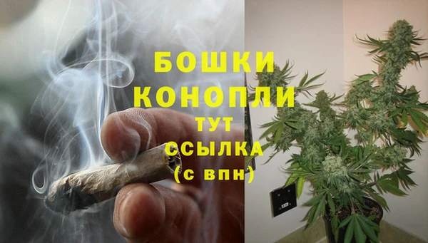 apvp Армянск