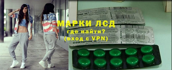 стаф Аркадак