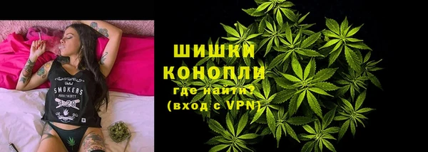 ГАЛЛЮЦИНОГЕННЫЕ ГРИБЫ Арсеньев