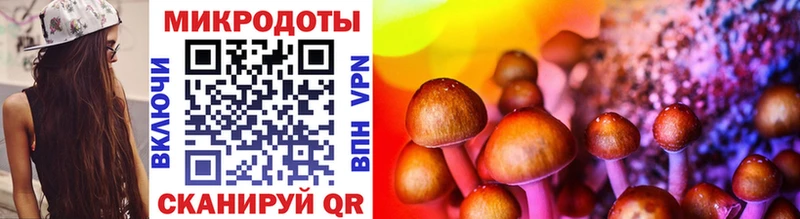 Псилоцибиновые грибы Magic Shrooms Малгобек