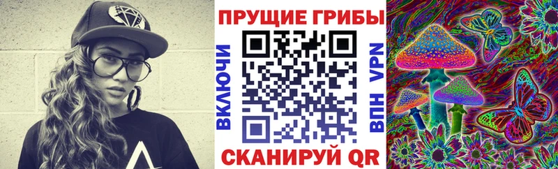 Галлюциногенные грибы MAGIC MUSHROOMS  Малгобек 